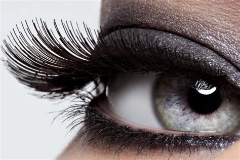 umbrella eyelashes